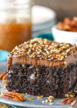 close up image of Turtle Chocolate Poke Cake
